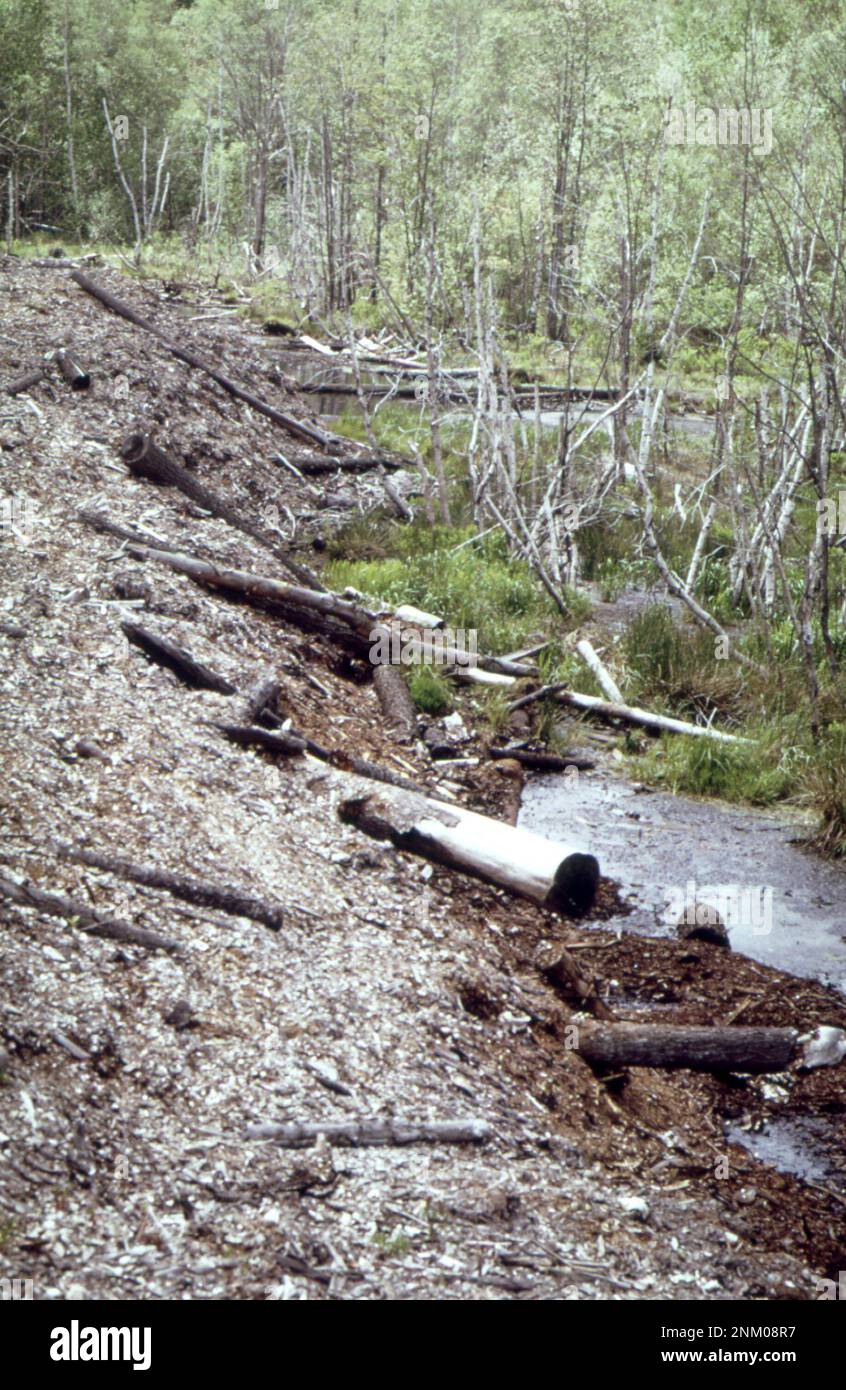 1970s United States: Leachings from waste bark and chemicals into polluted tributary of the St. Croix River. This waste from the Georgia Pacific paper co. is on the property of Charles Towne, one of the plaintiffs in a suit against the company ca. 1973 Stock Photo