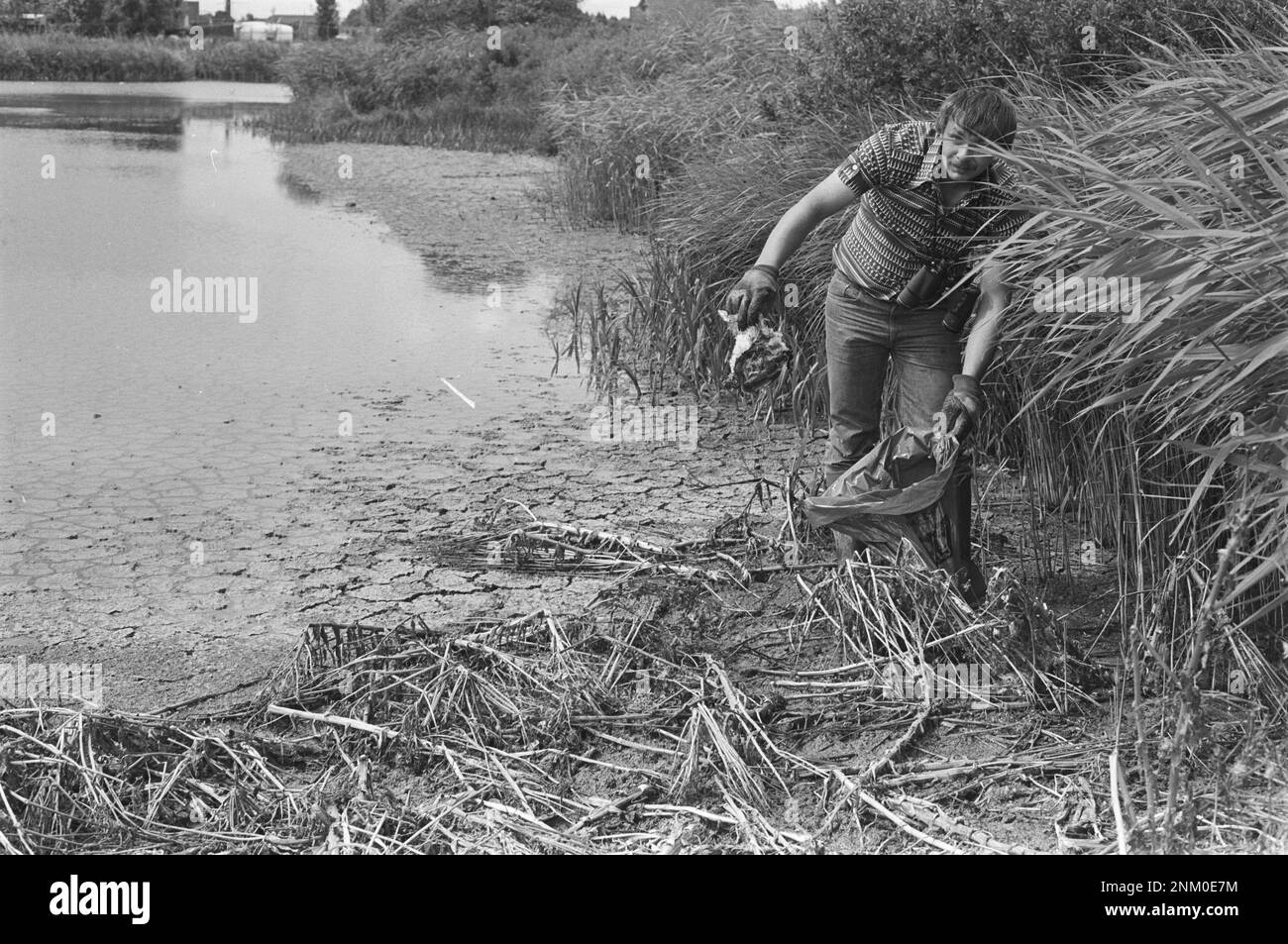 Collecting bird cadavers hi-res stock photography and images - Alamy