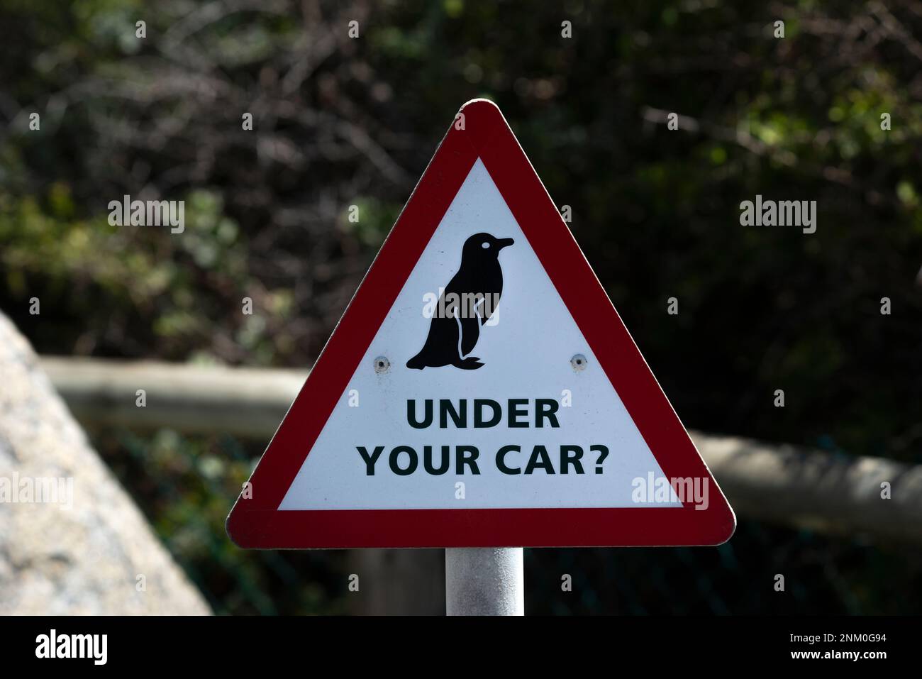 Alert road sign for penguins, Cape Town Stock Photo