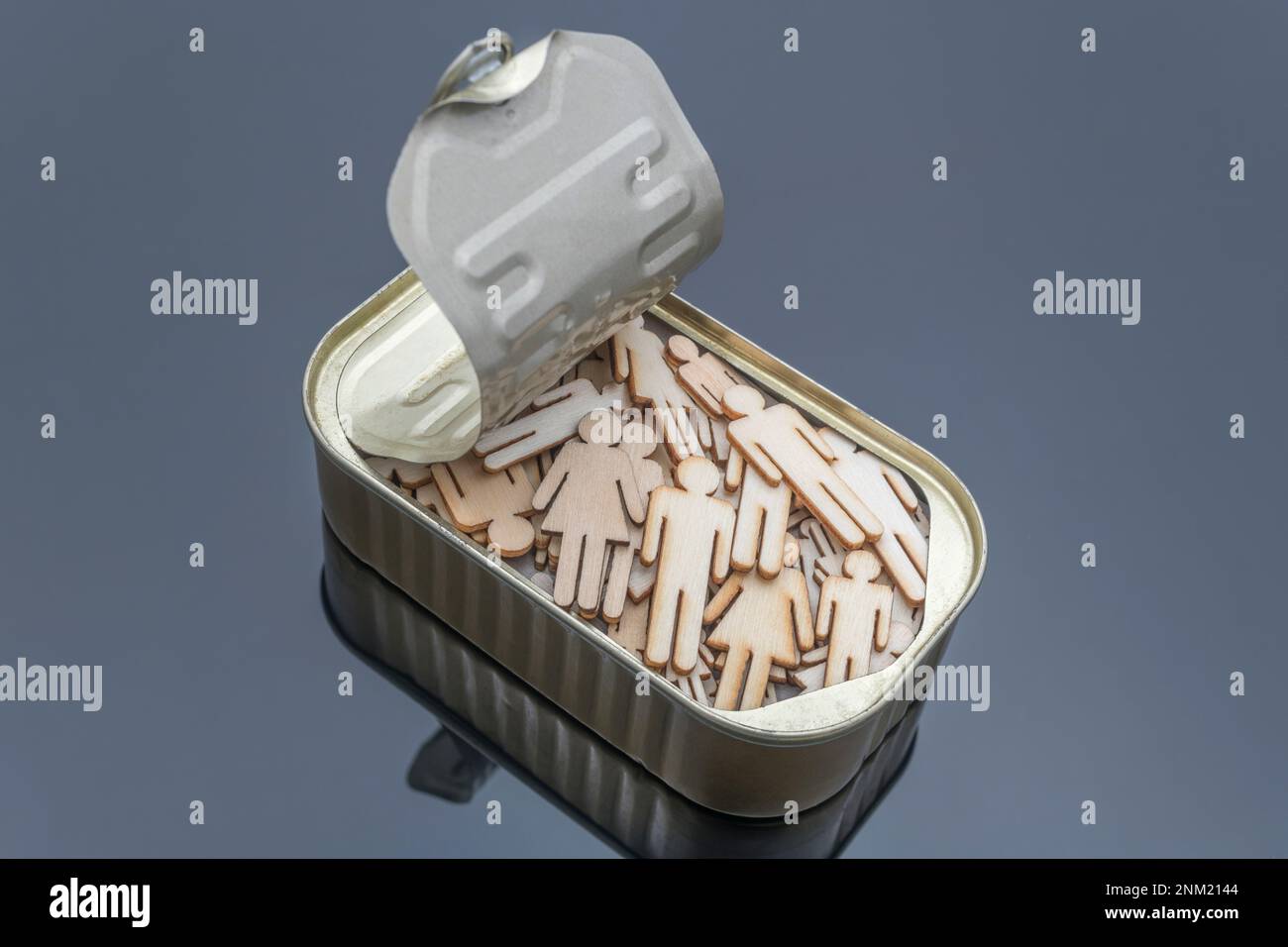 Lasercut wooden male and female shaped packed into a metal sardine can