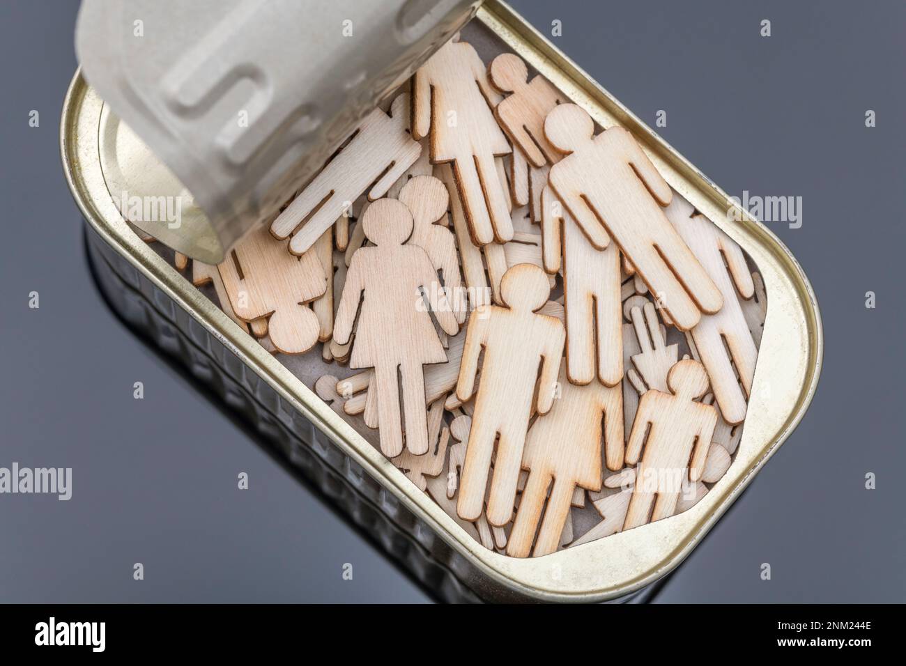 Lasercut wooden male and female shaped packed into a metal sardine can