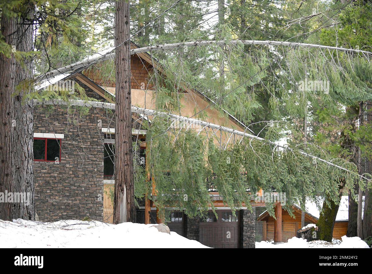 Downed limbs and trees can be seen resting on multiple residences still