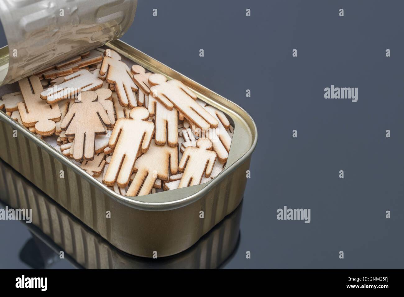 Lasercut wooden male and female shaped packed into a metal sardine can