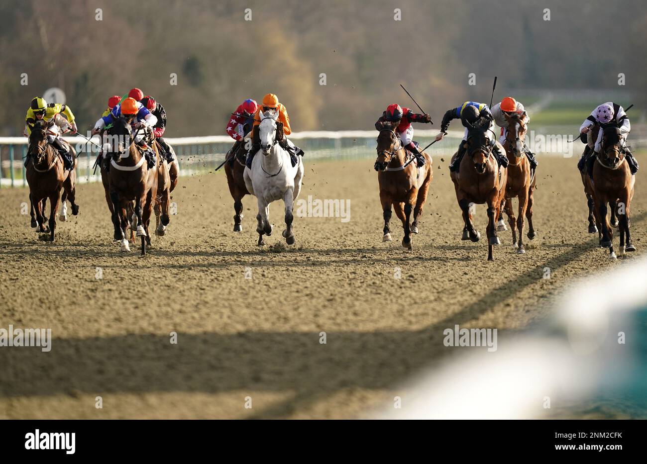 Divine Messenger ridden by Callum Shepherd (third right) on their way to winning the Spreadex Sports Get £40 In Bonuses Classified Stakes at Lingfield Racecourse, Surrey. Picture date: Friday February 24, 2023. Stock Photo