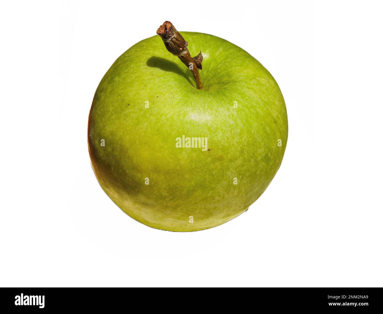 green apple isolated on white background Stock Photo - Alamy