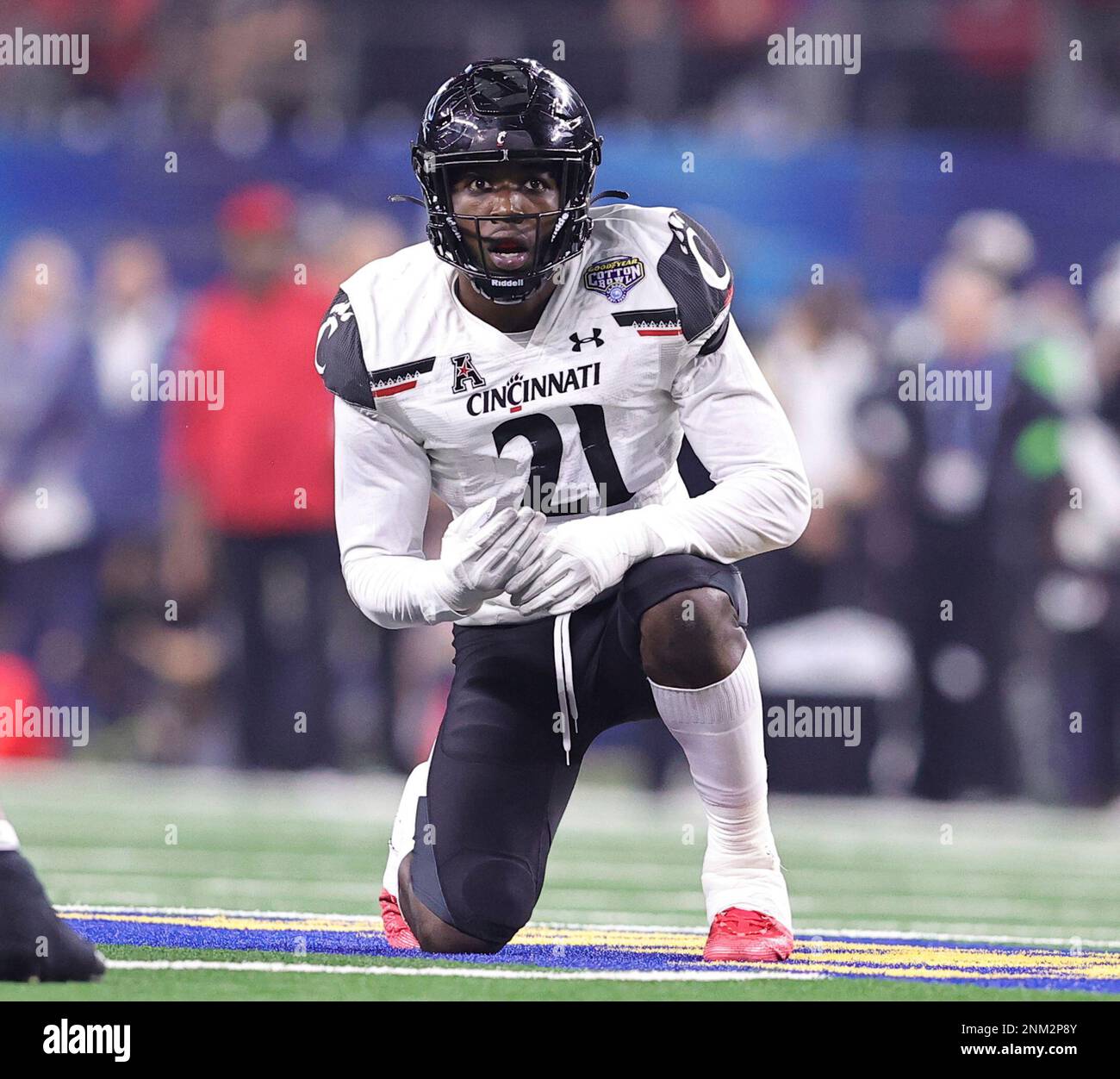 Cotton 2024 bowl 2021