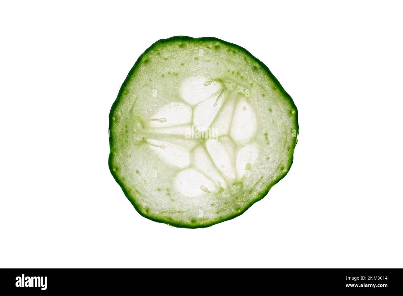Cucumber, texture, backlight, wallpaper, abstract, healthy, background Stock Photo Alamy