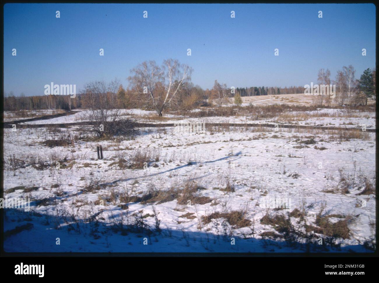 This view from the Trans-Siberian Railway captures fallow grain fields ...