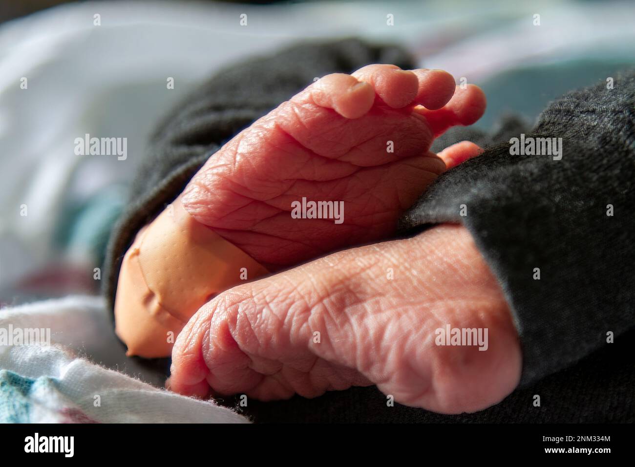Close up of a new born baby's feet Stock Photo