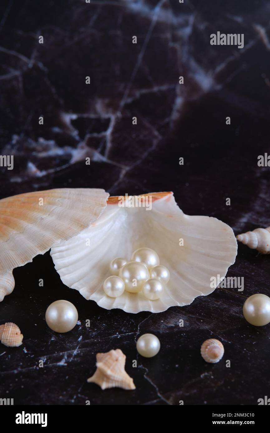 Pearls Containing Shells a few pearls in a sea shell Stock Photo - Alamy