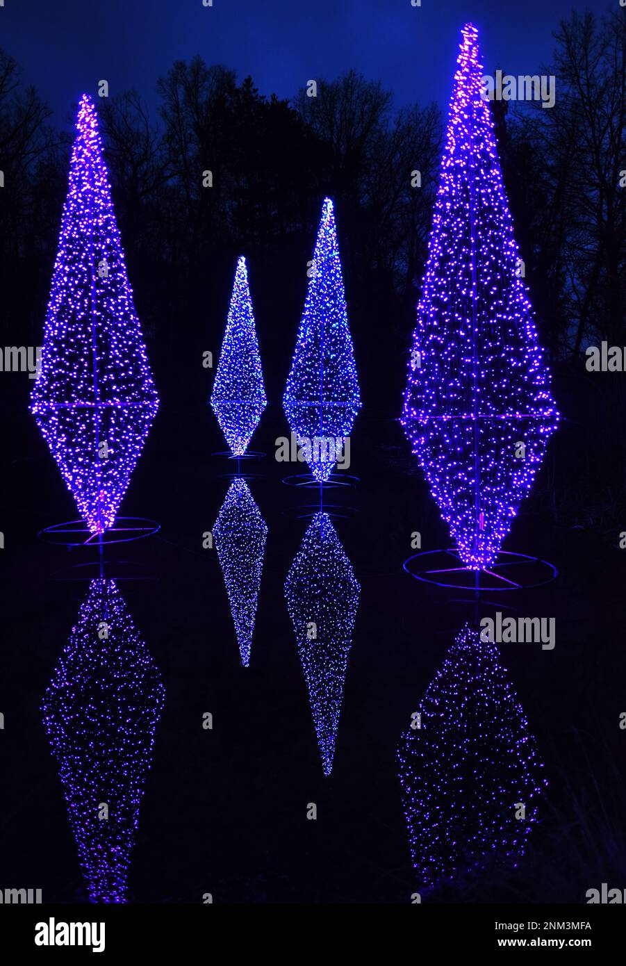 Decorated trees light up the night Friday, Dec. 31, 2021, during Lights