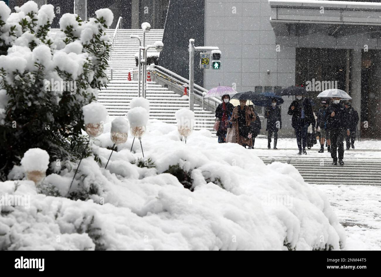 Snowfall magc snowing   秋の雪景色 Zao Onsen in winter: Hot springs, snow monsters and more