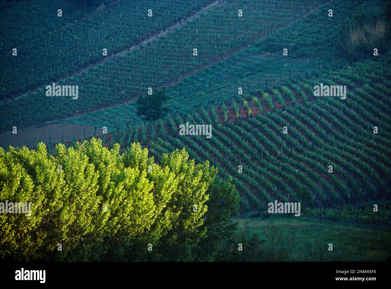 Morning sun lights hi-res stock photography and images - Alamy