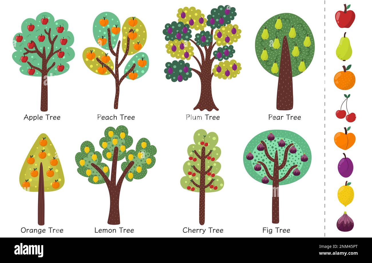 Doodle fruit trees collection. Different trees set with apple, orange and other trees Stock