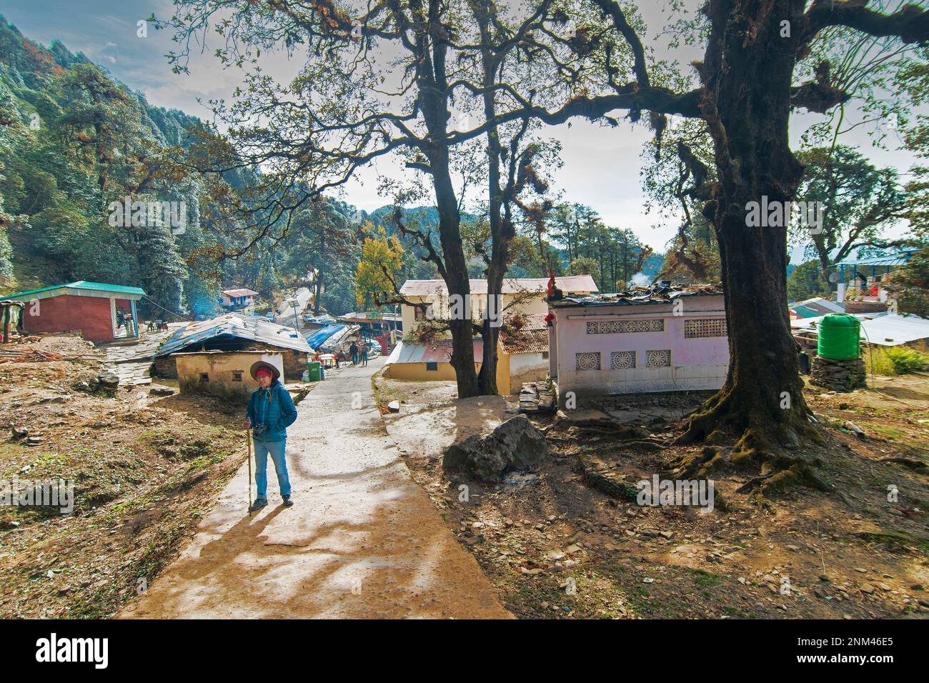 Chopta, Uttarakhand, India - 1st November 2018 : Indian female solo traveller trekking in Tungnath trek route,one of the highest Shiva temples. Stock Photo