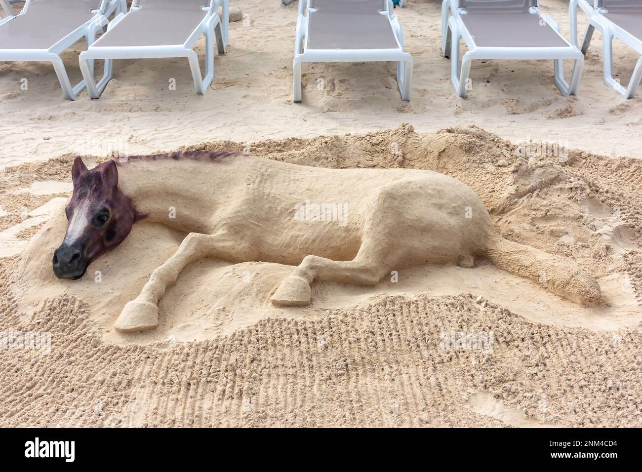 Horse sand sculpture at La Romana Cruise Terminal, La Romana, Dominican Republic (Republica Dominicana), Greater Antilles, Caribbean Stock Photo