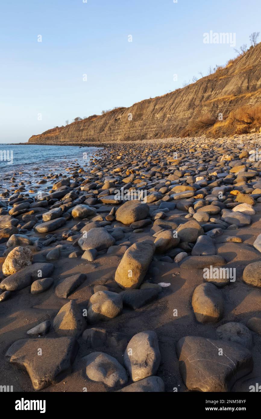 England, Dorset, The Jurassic Coast, Lyme Regis, Monmouth Beach famous
