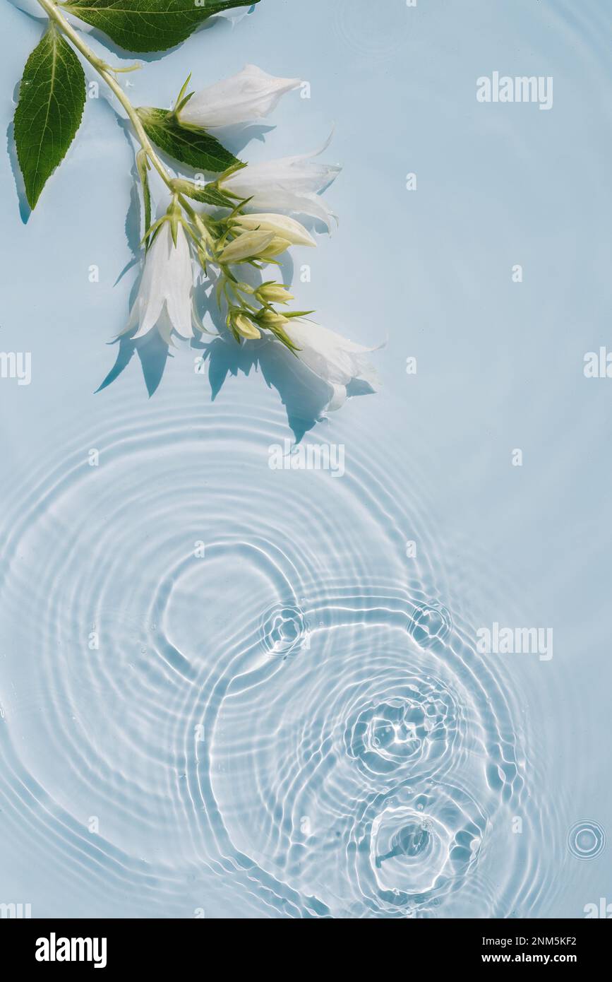 Background with transparent blue water texture with ripples and flowers. The concept of intimate hygiene, spring flowering, moisturizing and collagen Stock Photo