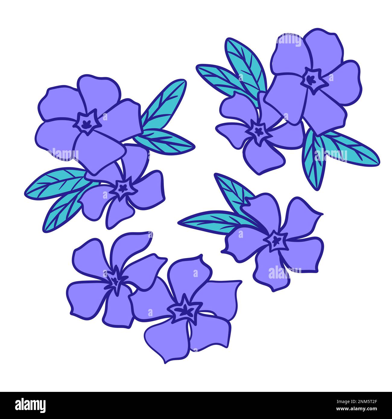 Hand drawn illustration of periwinkle blue violet flowers with green leaves. Natural wild forest flowers in floral decorative style, wood woodland nature plant, bloom blossom drawing leaf foliage Stock Photo