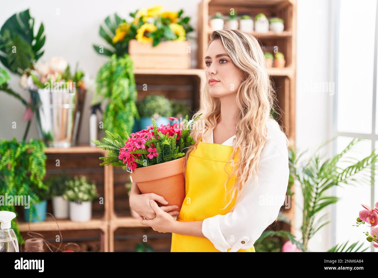 Young blonde woman florist holding plant at florist Stock Photo - Alamy