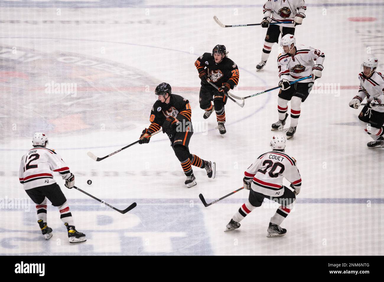 El paso rhinos hires stock photography and images Alamy