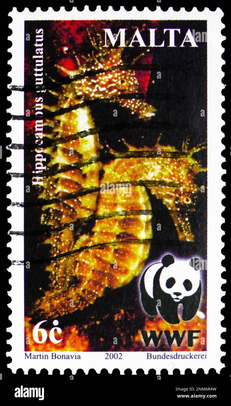 MOSCOW, RUSSIA - FEBRUARY 15, 2023: Postage stamp printed in Malta shows Long-snouted Seahorse (Hippocampus guttulatus), Endangered Species (2002): Me Stock Photo