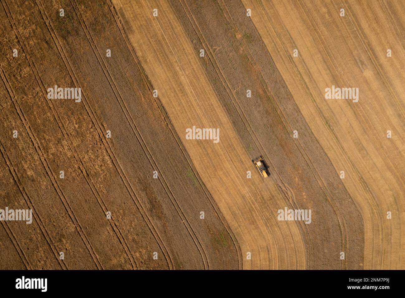 Combine harvester aerial shot, top down view. Drone photo of yellow modern combine harvesting cereal crop. Poland, Europe. Stock Photo