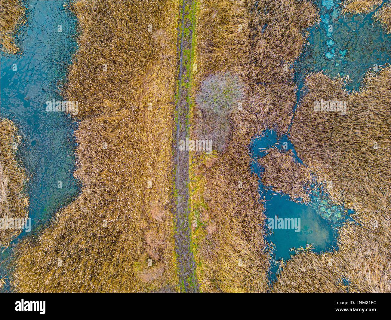 Small lake surrounded trees aerial hi-res stock photography and images ...