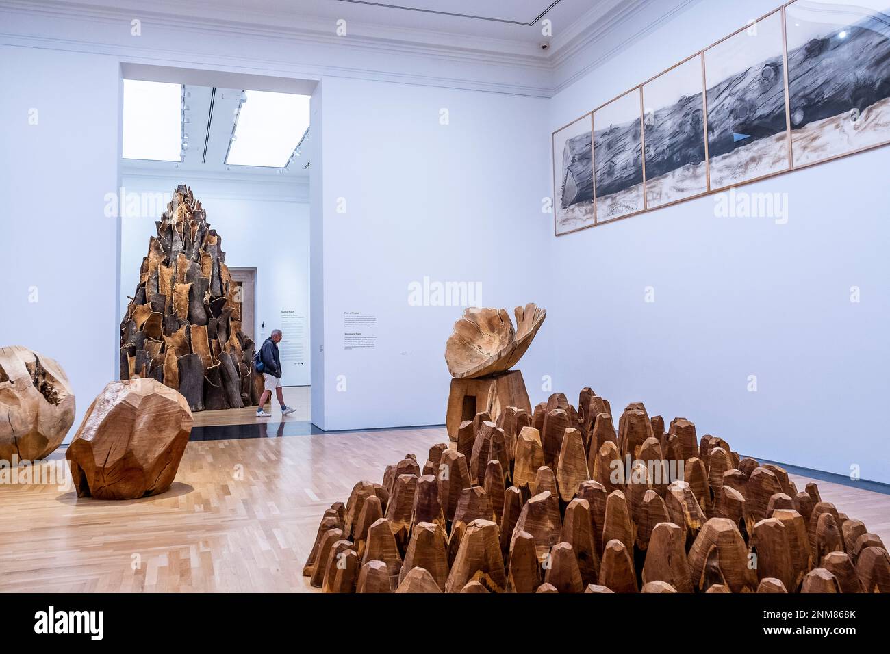 Sculptures, exhibition by David Nash, National Museum of Wales, Cardiff
