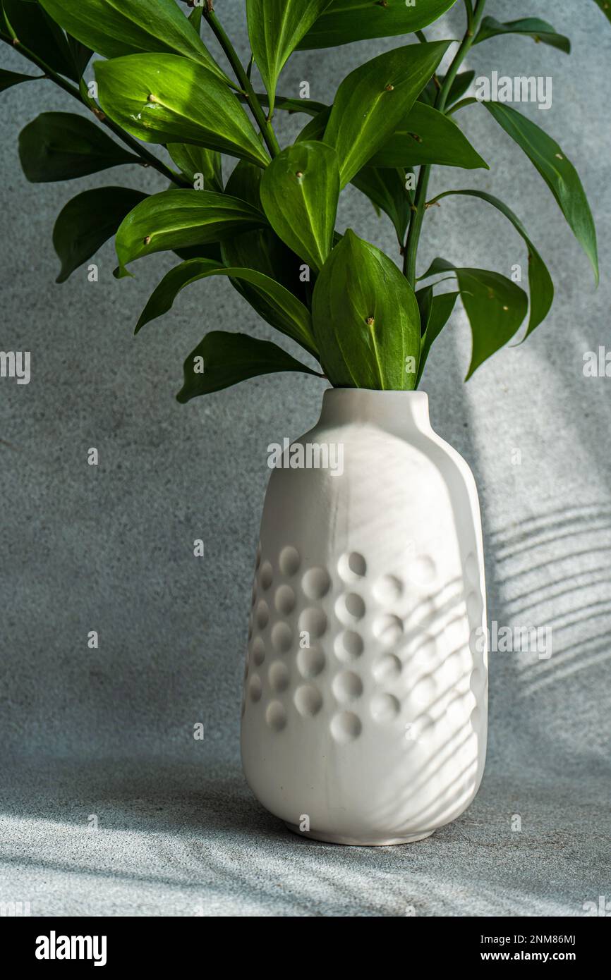 Ruscus leaves in the vase Stock Photo - Alamy