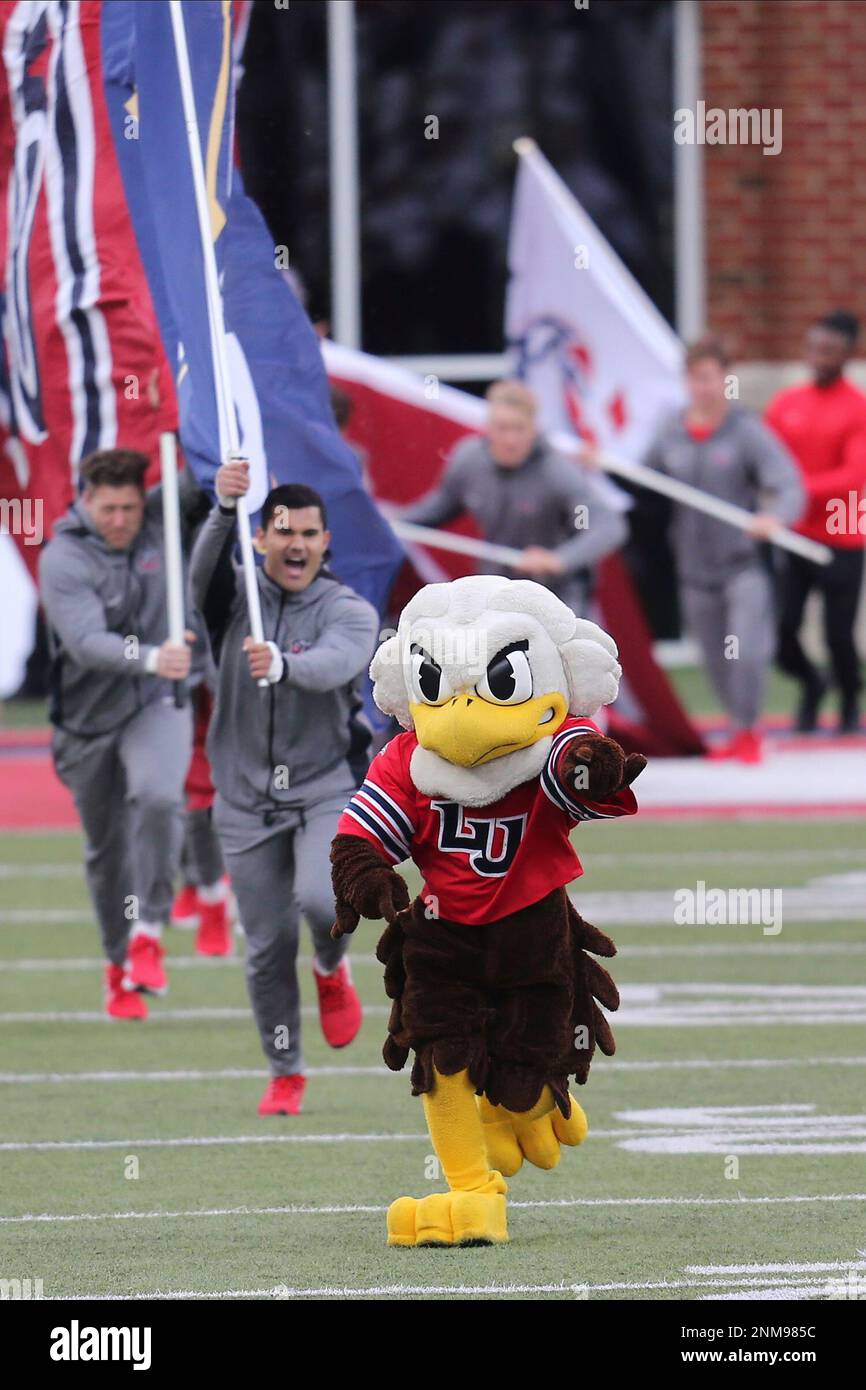 Bundle Logo Louisiana Ragin Cajuns svg eps dxf png file , Bundle NCAA –  lasoniansvg, image size:866x1390