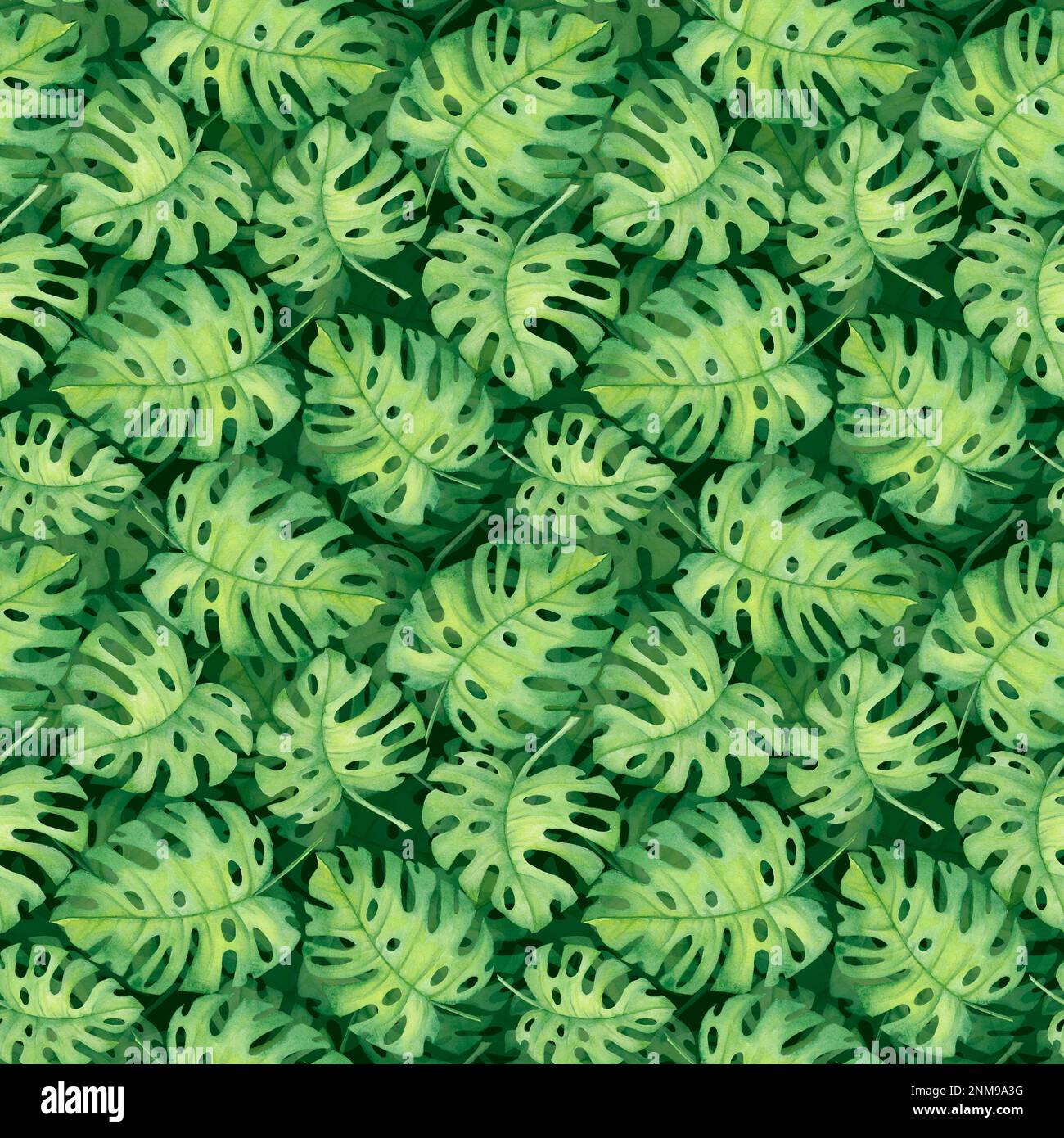Monestra Pattern watercolor illustration of tropical pattern, leaves monstera Pattern ...