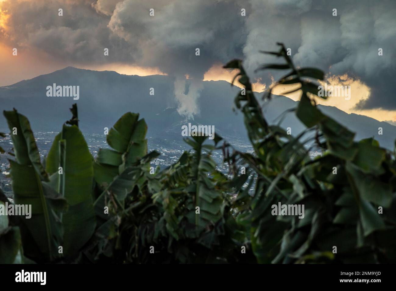 Smoke cloud from the Cumbre Vieja volcano, on 24 November 2021, in Los  Llanos de Aridane, Santa Cruz de Tenerife, Canary Islands, (Spain). The  Cumbre Vieja volcano, which began to roar on