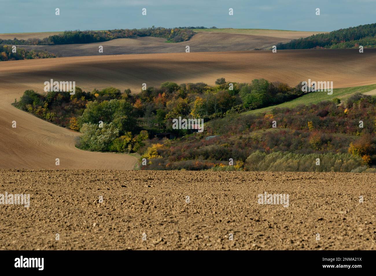 The house is hidden in Moravian forest copses among fields. Czech