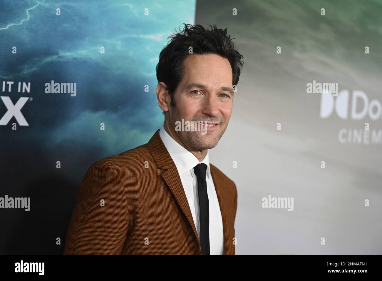 Photo by: NDZ/STAR MAX/IPx 2021 11/15/21 Paul Rudd at the premiere of ...