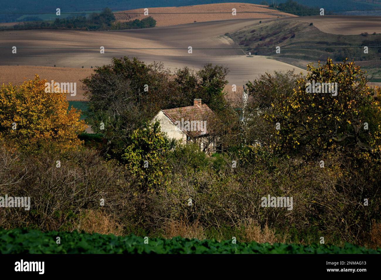 The house is hidden in Moravian forest copses among fields. Czech