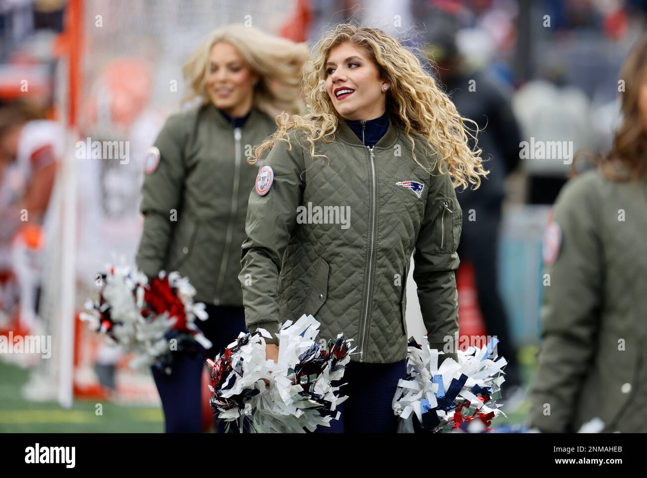 FOXBOROUGH, MA - NOVEMBER 14: Patriots Salute to Service logo on a