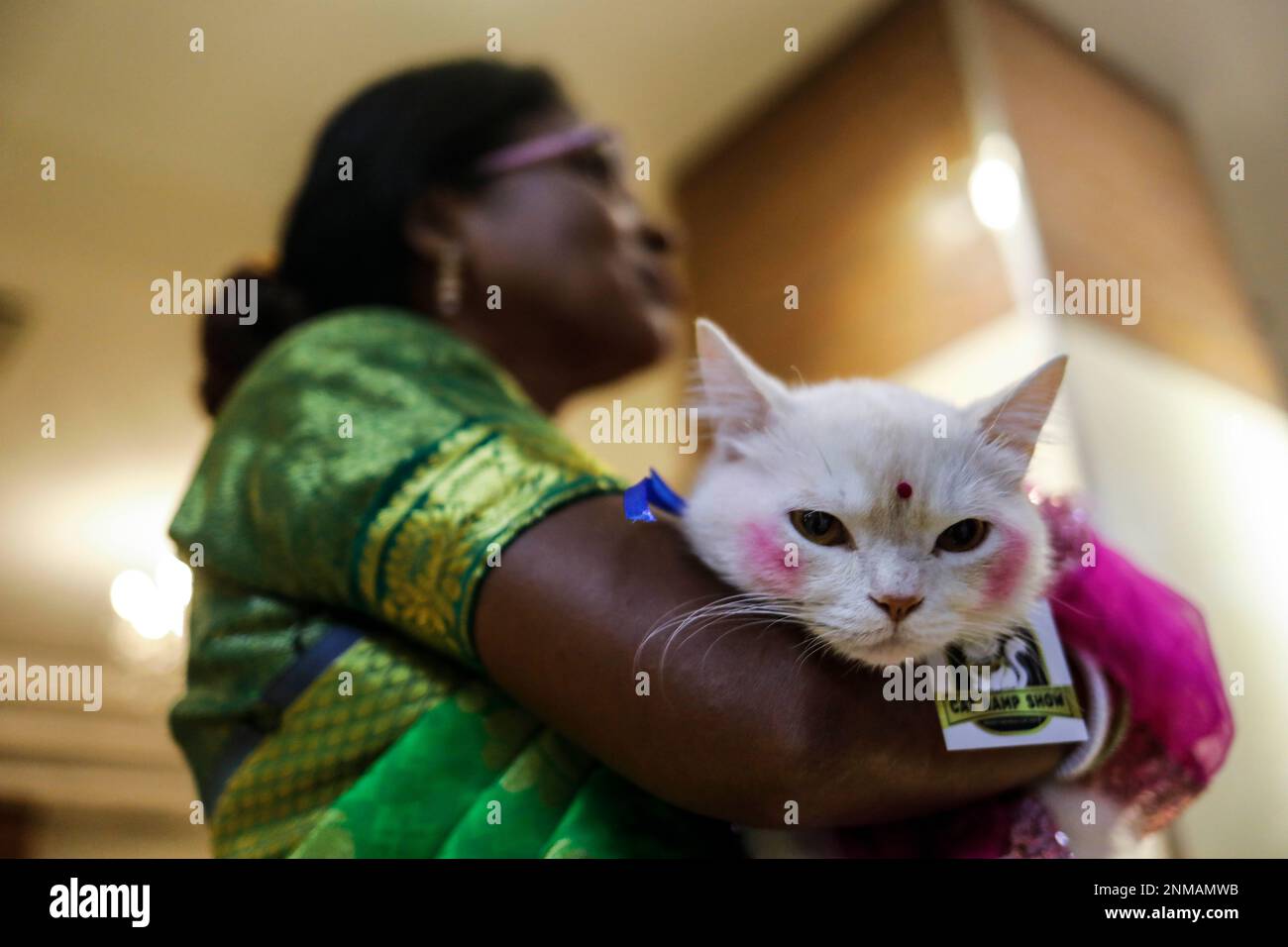 Dhaka, Bangladesh. 24th Feb, 2023. A cat ramp show was held at Jamuna