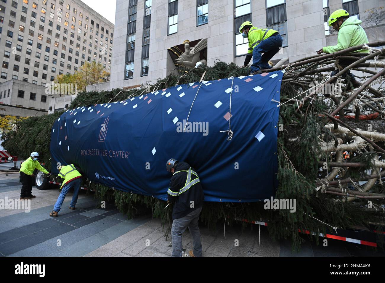 Photo by: NDZ/STAR MAX/IPx 2021 11/13/21 Workers prepare the tree to be ...