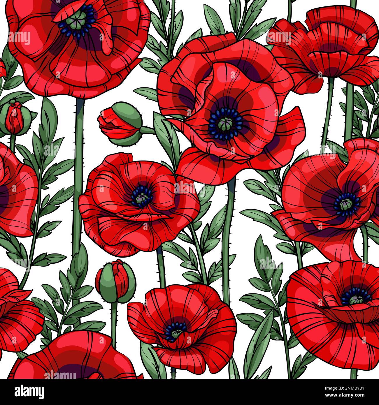 Poppies Exquisite Floral Illustration Vibrant Red Poppy Flowers On