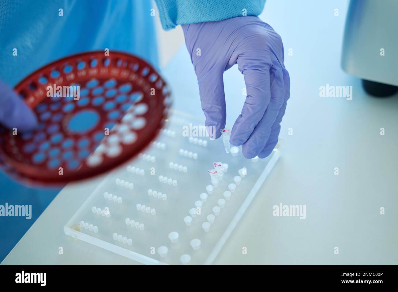Laboratory assistant holds in his hand cartridge of hematological centrifuge Stock Photo Alamy