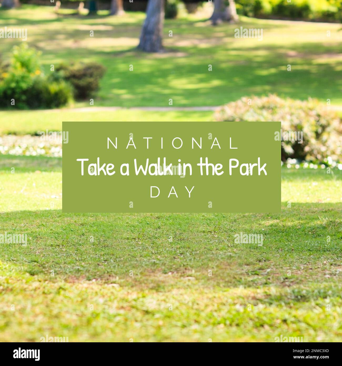 Image of national take a walk in the park day text over park Stock