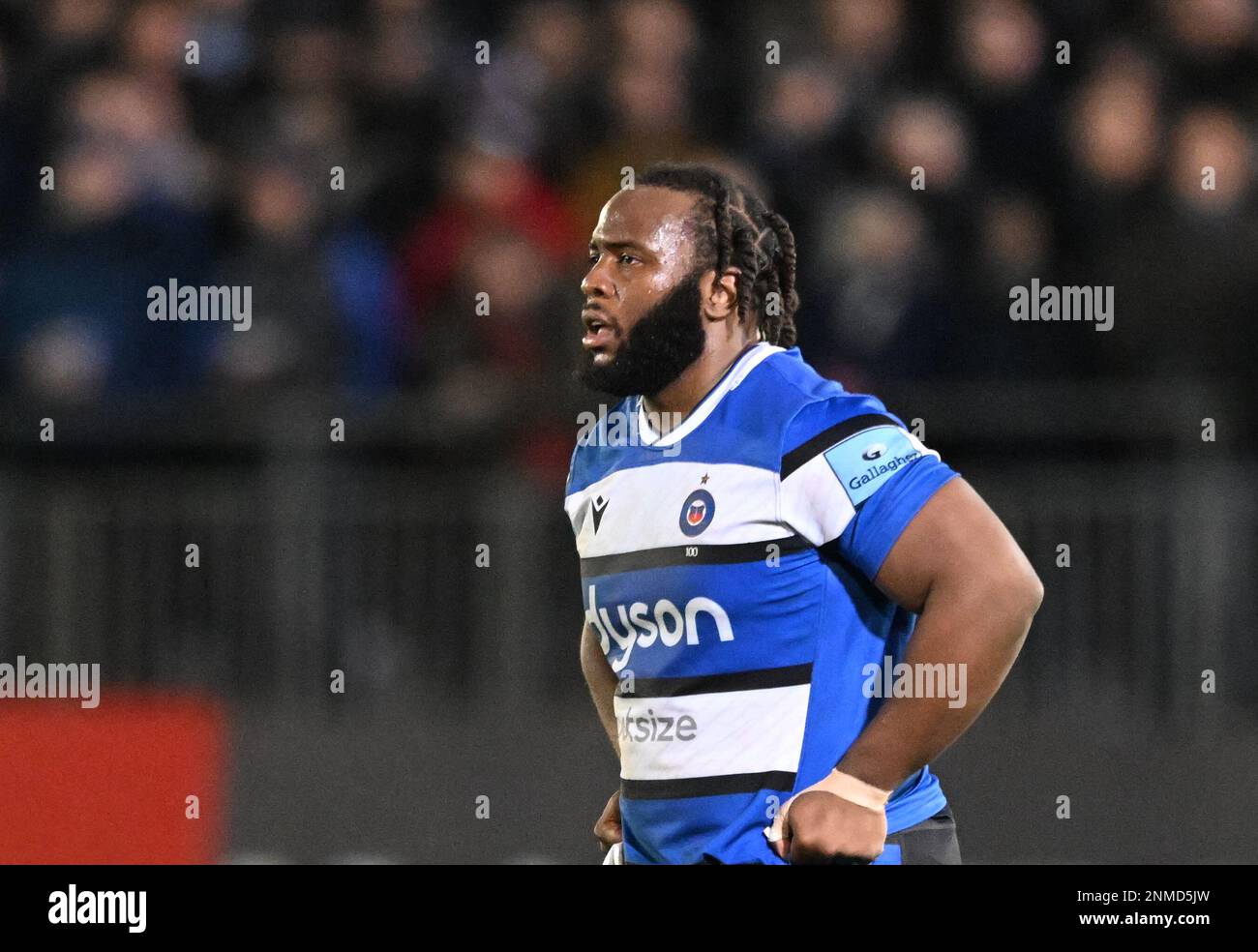 Maillot bristol bears sale