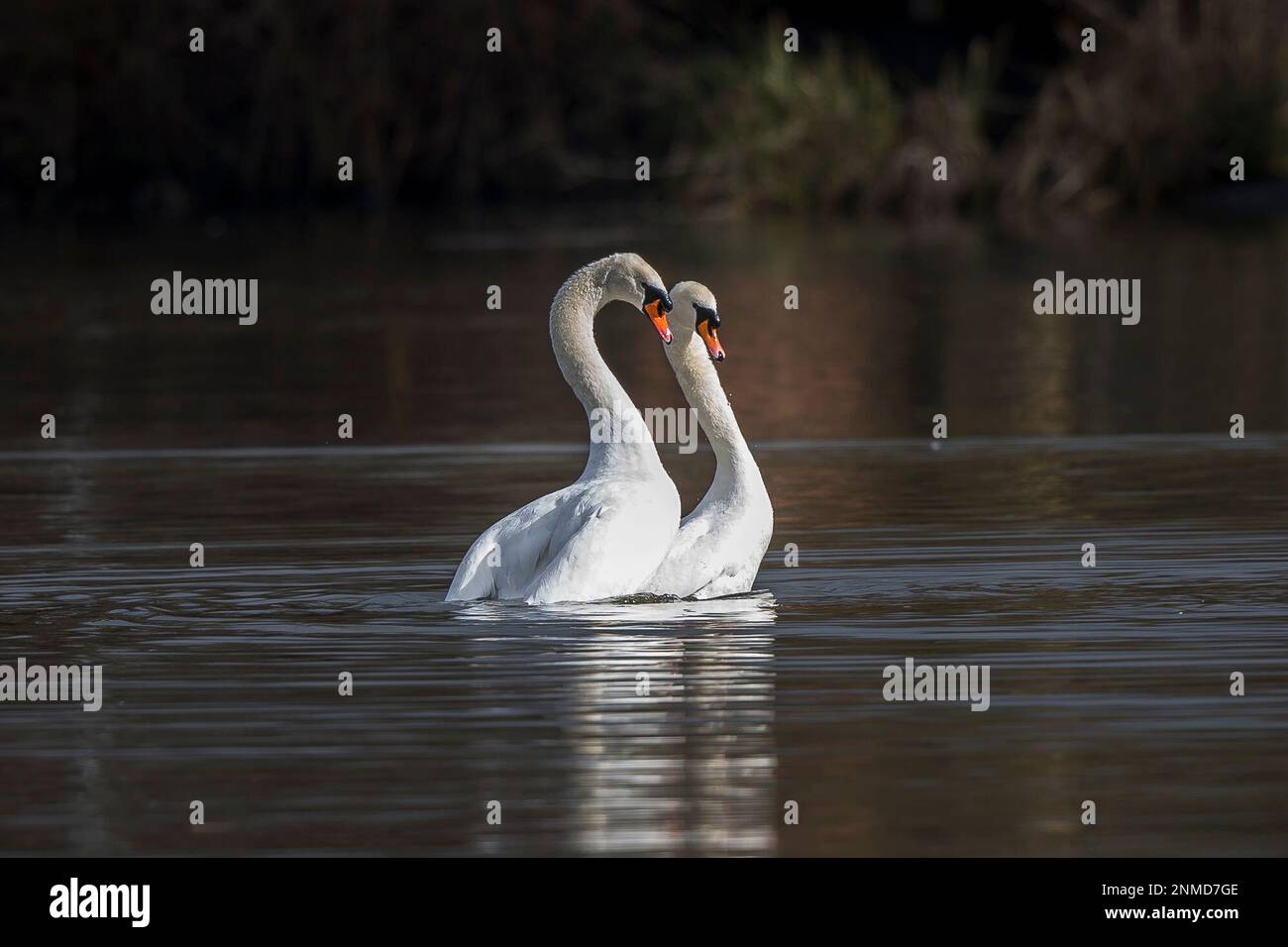 Stack Pool Kidderminster Stackpool hi-res stock photography and images - Alamy