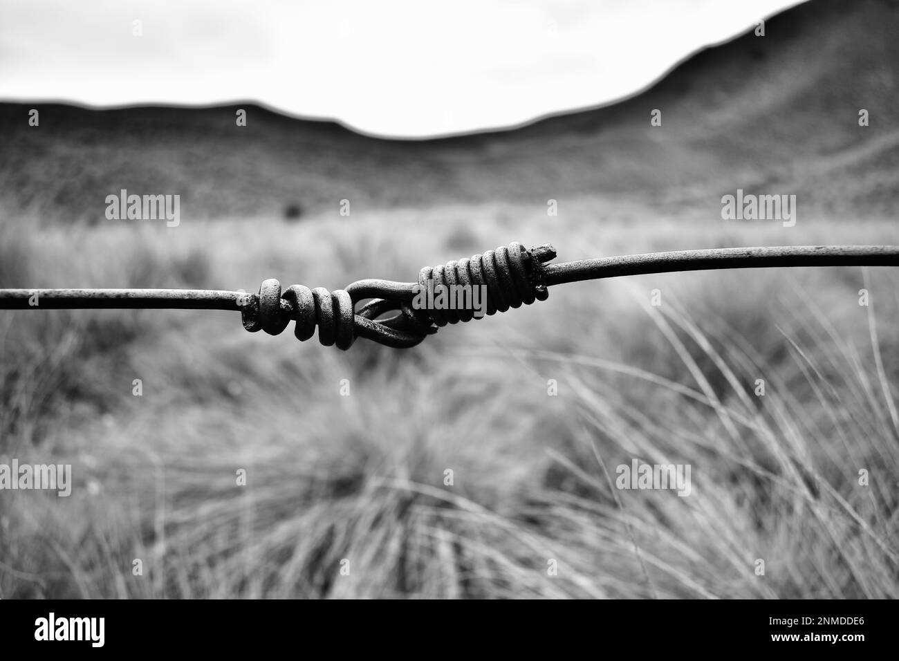 knotted fencing wire Stock Photo Alamy