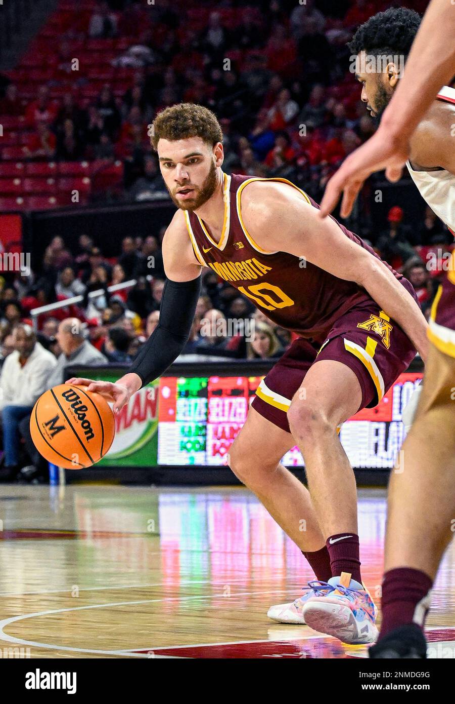 COLLEGE PARK, MD FEBRUARY 22 Minnesota Golden Gophers forward