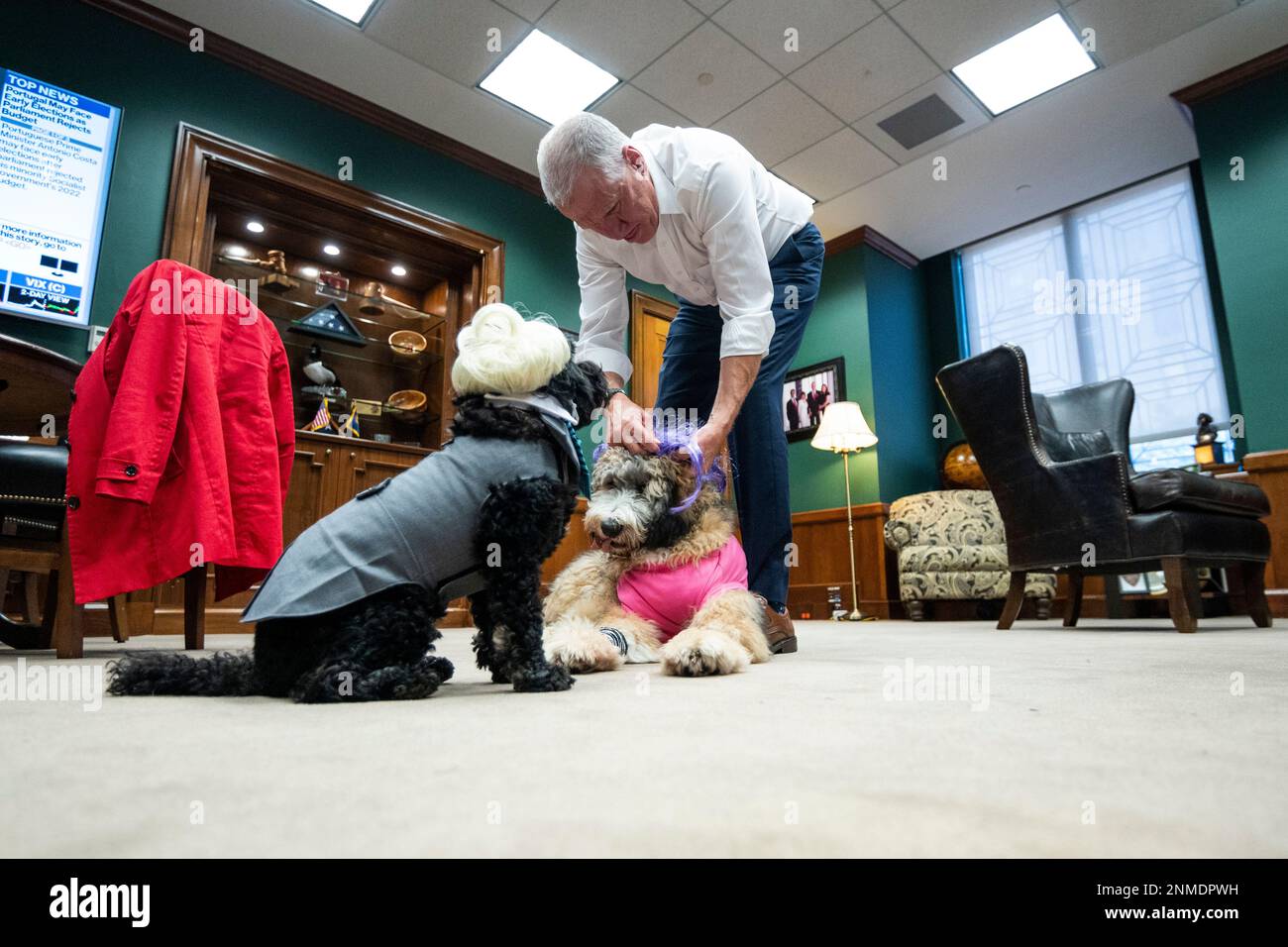 UNITED STATES OCTOBER 27 Sen. Thom Tillis, RN.C., gets his dogs