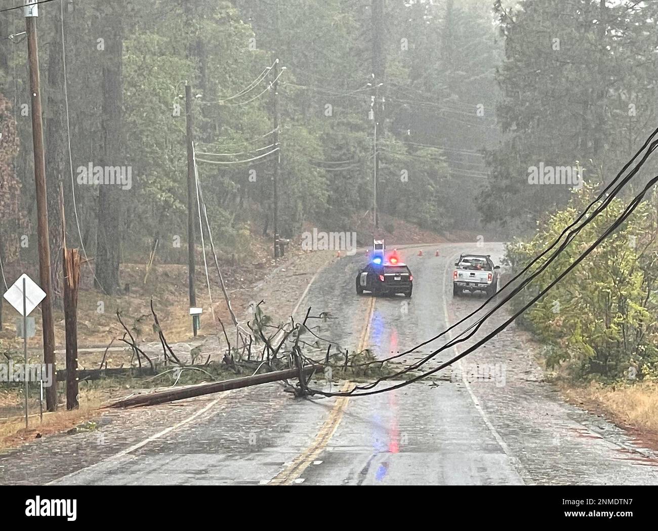 A falling tree took out this power pole and transformer along the 11000 A falling tree took out this power pole and transformer along the 11000