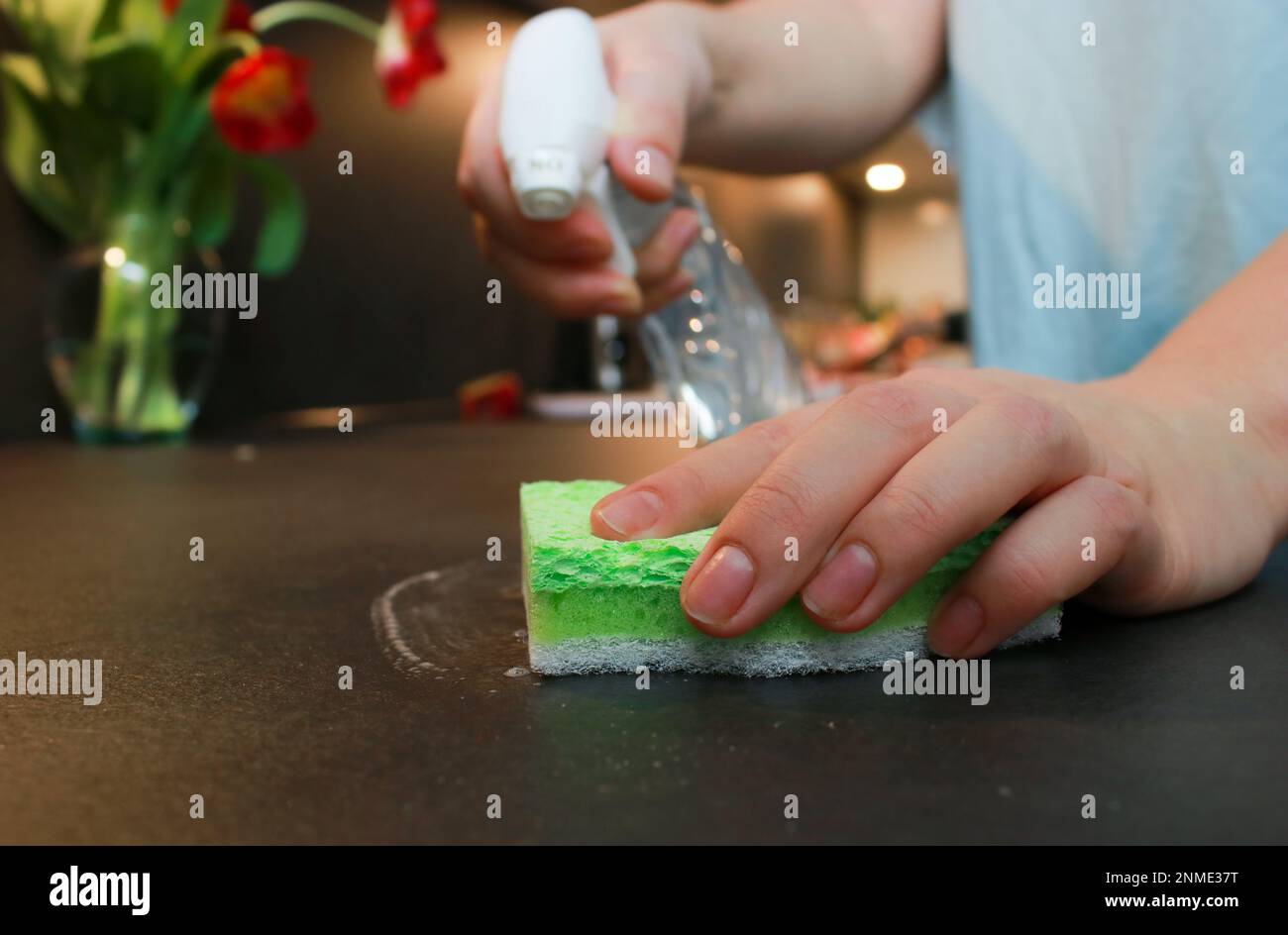 close up of woman cleaning with spray and sponge the bar surface in the kitchen Stock Photo