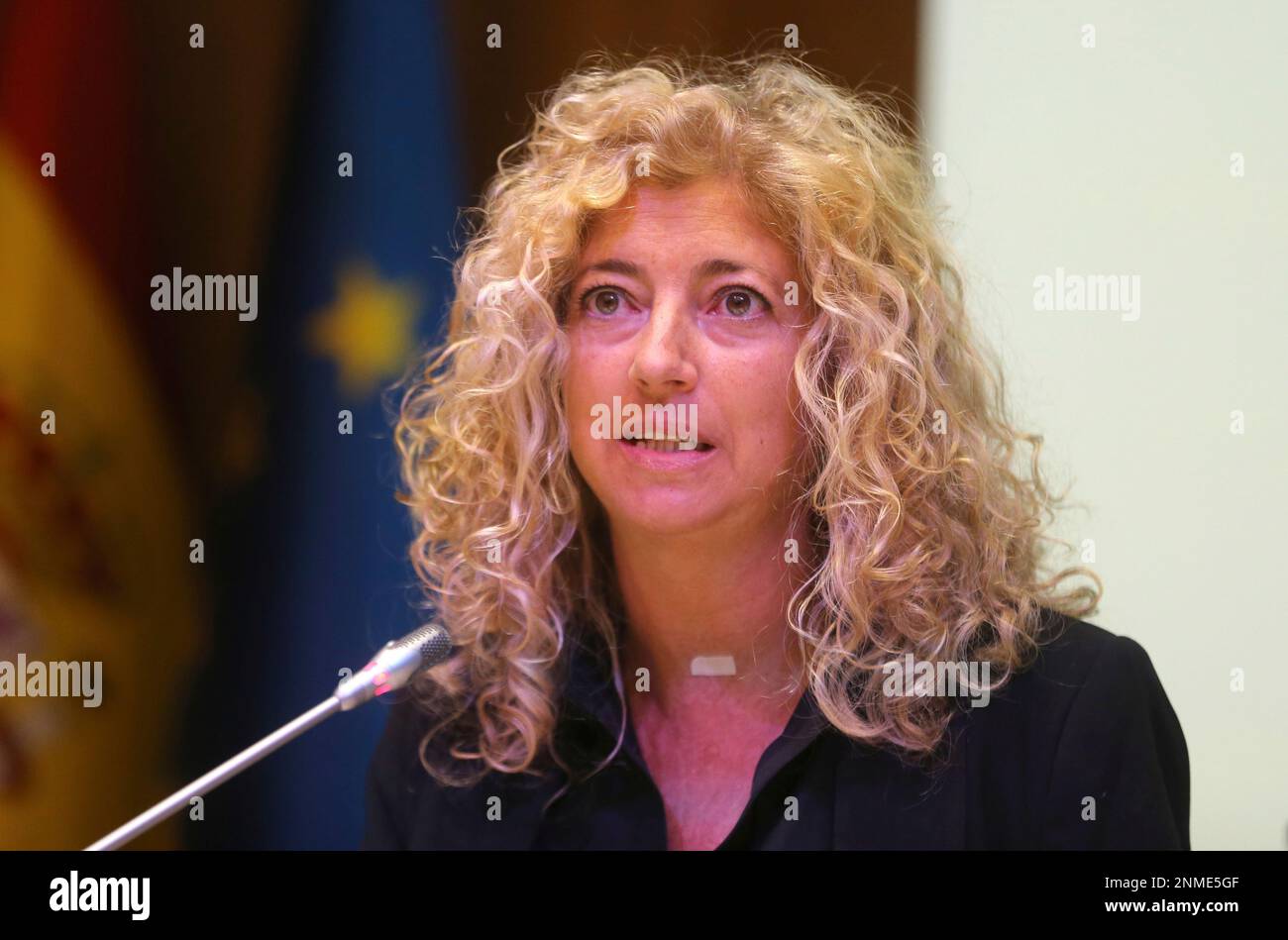 The president of the Federation of Film Distributors of